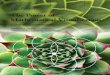 The Power of Mathematical Visualization - SnagFilms · PDF fileCourse Guidebook Professor James S. Tanton Mathematical Association of America The Power of Mathematical Visualization