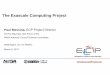 The Exascale Computing Project · PDF fileSummary of current DOE Science & Energy application development projects ... QCD-based elucidation of fundamental laws ... physical processes