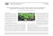 Micropropagation of Hermaphrodite Carica papaya L ... · PDF file‘Rainbow’ Seedlings via Axillary Bud Pathway ... suitable for subculture and proliferation of axillary buds 