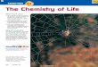 Chapter 24: The Chemistry of Life - Neshaminy School Chapter 24 The Chemistry of Life CHAPTER 24 What Youâ€™ll Learn You will learn the functions of the four major classes of
