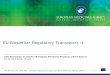 Presentation - EU Biosimilar Regulatory Framework II · PDF fileEU Biosimilar Regulatory Framework II. ... toxicological and clinical profile shall be provided. ... (previous slide)