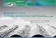 Asbestos - Economic Assessment of Bans and Declining ... · PDF fileAsbestos economic assessment of bans and declining production ... waste-management ... Asbestos economic assessment