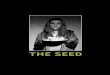CB THESEED PROGRAM - Belvoir · PDF fileconscript. ” “How did it ... after a performance of The Seed last year was, ... Management. This play is not just based on my family, but
