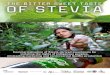 THE BITTER SWEET TASTE - Public Eye · PDF fileOF STEVIATHE BITTER SWEET TASTE Commercialisation of Stevia-derived sweeteners by violating the rights of indigenous peoples, misleading