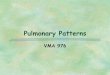 Pulmonary Patternsradfileshare.cvm.ncsu.edu/VMB976/setup/pulmpatt976.pdf · PULMONARY PATTERNS VWhich pulmonary patterns are commonly described in veterinary medicine? PULMONARY PATTERNS