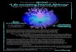 The Association NEI DAO presents “Life nourishing Internal ... · PDF file“Life nourishing Internal Alchemy” Qigong and International Scientific Research The Association NEI