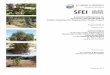Annotated Bibliography for Sycamore Alluvial Woodland ... · PDF fileAnnotated Bibliography for Sycamore Alluvial Woodland ... to the Sycamore Alluvial Woodland Habitat Mapping and