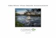 Gila River Flow Needs Assessment - | Kelly Kindscherkindscher.faculty.ku.edu/wp-content/uploads/2016/03/GilaFlowNeeds... · Gila River Flow Needs Assessment Prepared by David Gori,