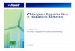 Whitespace Opportunities in Biobased Chemicals Velson... · Nexant’sBiorenewable Insights ... Lactic Acid/PLA Polypropylene Adipic Acid Isooctene/Isooctane ... Whitespace Opportunities