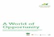 A World of Opportunity - Forest  · PDF filenon-governmental organizations, ... vast forest areas have been ... A World of Opportunity for Forest and Landscape Restoration