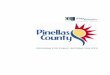 Pinellas County Program for Public Information (PPI) · PDF fileRECORD OF REVISIONS Pinellas County Program for Public Information Table of Contents Date Revision January 25, 2015