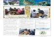 Country Wide In-Water Sea Turtle  · PDF fileAnnual In-Water Sea Turtle Survey ... working throughout Belize. This portion of the Turtle Watch ... biologist Kirah Forman lead the