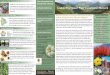 Laukahi: The Hawai i Plant Conservation · PDF fileGardenia brighamii is well ... tion efforts such as the Global Strategy for Plant ... statewide capacity for conserving of the native