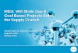 MEG: Will Shale Gas & Coal Based Projects Solve the Supply ...eliteconferences.com/wp-content/uploads/2014/08/G.pdf · MEG: Will Shale Gas & Coal Based Projects Solve the Supply Crunch