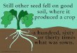 Still other seed fell on good soil, where it produced a ...biblestoryprintables.com/files/StoryBoard/Sower4StoryColor.pdf · Still other seed fell on good soil, where it produced