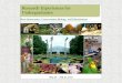 PowerPoint Presentation and Conservation... · Pickle Springs . Pickle Springs . Tierra Lillard, HSSU 