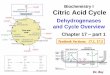 Citric Acid Cycle -   · PDF fileBiochemistry I Citric Acid Cycle Dehydrogenases and Cycle Overview Chapter 17 –part 1 Dr. Ray Textbook Sections: 17.1, 17.2