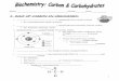 ROLE OF CARBON IN ORGANISMS - Curwensville Area · PDF fileI. ROLE OF CARBON IN ORGANISMS: ... _____- provides structure in plant cell walls (cannot ... Organic molecules worksheet