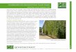 Considerations for Advanced Green Facade Designgreenscreen.com/docs/Education/greenscreen_Advanced Green Facad… · Considerations for Advanced Green ... pervious surfaces and vegetation