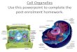 Cell Organelles Use this powerpoint to complete the post ... · PDF filethe cell (exocytosis) Other functions • Transporting and storing lipids ... • Large membrane bound organelle