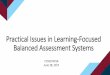 Practical Issues in Learning -Focused Balanced Assessment ... · PDF filePractical Issues in Learning -Focused Balanced Assessment Systems ... • Ellen Vorenkamp, Assessment Consultant,