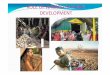 ROLE OF NABARD IN RURAL DEVELOPMENT - Enablers · PDF filewhether or not a state cooperative bank or a regional rural bank satisfies the requirements as ... Role of Self Help Promoting