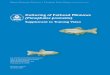 Supplement to Training Video - US EPA · PDF fileCulturing of Fathead Minnows (Pimephales promelas) Supplement to Training Video U.S. Environmental Protection Agency Office of Wastewater