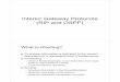 Interior Gateway Protocols (RIP and OSPF) - cs.wmich.edualfuqaha/Fall07/cs6030/lectures/DV-LS-rev2.pdf · Interior Gateway Protocols (RIP, OSPF)Interior Gateway Protocols (RIP and