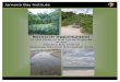 Jamaica Bay Institute · PDF fileJamaica Bay Institute ... State-Listed Rare Plants ... habitat for both resident and migratory animals—most