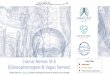 Cranial Nerves IX-X (Glossopharyngeal & Vagus Nerves)ksumsc.com/download_center/2nd/1) Neuropsychiatry Block/Teamwork... · Cranial Nerves IX-X (Glossopharyngeal & Vagus Nerves) 