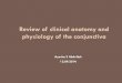 Review of clinical anatomy and physiology of the … of... · Review of clinical anatomy and physiology of the conjunctiva ... PHYSIOLOGY Smooth surface. ... Jaundice , would you