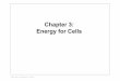 Chapter 3: Energy for Cells - Gov 521... · Chapter 3: Energy for Cells ... Light is a form of radiation, consisting of energy ... Questions #15 page 85 2) 