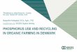 PHOSPHORUS USE AND RECYCLING IN ORGANIC FARMING IN · PDF filePHOSPHORUS USE AND RECYCLING IN ORGANIC FARMING IN ... M.Sc. Agric., PhD mga@seges.dk, ... Wood ash Biomasses from natural