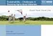 Sustainability – Challenges in Sourcing Agricultural · PDF fileSustainability – Challenges in Sourcing Agricultural Materials ... • Global sourcing strategy ... – runs own