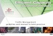 Traffic Management Guideline - · PDF file3 - Trafﬁ c Management Guideline The development of sustainable mobility concepts for already existing and future mega cities will be the