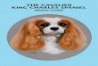 87825 StephanieAbraham Layout 1 4/21/11 8:01 PM Page · PDF fileThe Cavalier King Charles Spaniel is an old breed, ... 87825 StephanieAbraham_Layout 1 4/21/11 8:01 PM Page 13. 