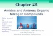 Amides and Amines: Organic Nitrogen Compoundsintegratedwisdom.org/yahoo_site_admin/assets/docs/ch25.15201109.pdf · Amides and Amines: Organic Nitrogen Compounds Nylon is one of the