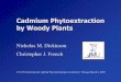Cadmium Phytoextraction by Woody Plants - CLU-IN · PDF fileLord Thomas of Macclesfield ... (Keller, Switzerland) Field evidence ... Microsoft PowerPoint - dickinson's