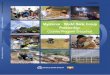 World Bank Documentdocuments.worldbank.org/curated/en/641031468184167373/pdf/103455... · Myanmar: Developing a National Strategy for Development of Statistics 36 ... Myanmar Multi-Donor