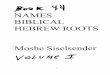 NAMES BIBLICAL HEBREW ROOTS - · PDF fileangels ,organic and inorganic substances ; water land universes galaxies, stars, planets trees flowers vegetables animals birds fish reptiles