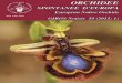 ORCHIDEE -   · PDF fileORCHIDEE SPONTANEE D’EUROPA – EUROPEAN NATIVE ORCHIDS 5 INDICE Mauro Biagioli, Paolo Grünanger & Karel (C.A.J.) Kreutz - Nuove combinazioni a rango
