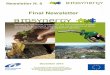 Final Newsletter -  · PDF fileFinal Newsletter December 2010 The ... technologies for lignocellulosic biomass, notably straw. ... Regarding the fast pyrolysis, an effective