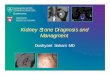 Kidney Stone Diagnosis and Managment - Scbtmr stone Dx and Mt SCBT... · Kidney Stone Diagnosis and Managment ... pole of kidneys to ... • CT also helps in planning surgical interventions