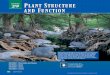 29 PLANT STRUCTURE AND FUNCTION - · PDF filePLANT STRUCTURE AND FUNCTION 585 Ground Tissue System Dermal tissue surrounds the ground tissue system, which consists of all three types