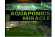 Aquaponics Miracle - s3.  · PDF fileAquaponics Miracle 4 | P a g e Combining Hydroponics with Aquaculture Both aquaculture and hydroponics have some down sides,