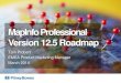 MapInfo Professional Version 12.5 Roadmap - Pitney …blogs.pitneybowes.dk/files/2014/03/MapInfo-Tour-MapInfo-Roadmap.… · MapInfo Professional v12.5 schedule 3 MapInfo Professional
