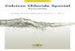 Calcium Chloride Special - · PDF fileCharacteristics of Calcium Chloride Special 1.34 Concentrate Appearance Clear, colourless to light yellow liquid purposes only. Boiling point