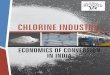 CHLORINE INDUSTRY - Zero  · PDF fileSupported by: Study by: Toxics Link, New Delhi ECONOMICS OF CONVERSION IN INDIA CHLORINE INDUSTRY: