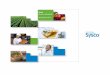 Sysco Graphic Standards November 2011 · PDF filebrand throughout Sysco and to the outside world. You play a leading role in this effort, and this guide will help you succeed. It will