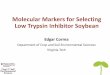 Molecular Markers for Selecting Low Trypsin Inhibitor Soybean · PDF fileMolecular Markers for Selecting Low Trypsin Inhibitor Soybean. Edgar Correa. Department of Crop and Soil Environmental